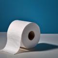 obrazek do "a roll of toilet paper" po polsku