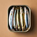 obrazek do "a tin of sardines" po polsku
