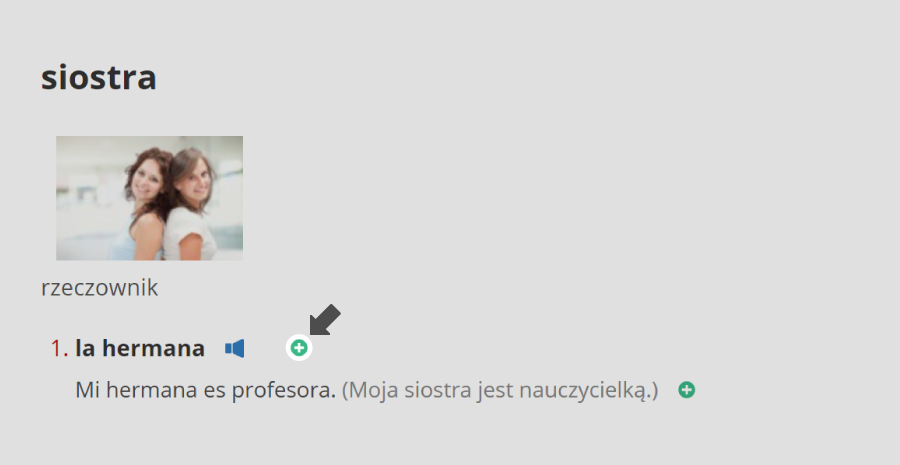 Dodawanie do elementu powtórek z poziomu słownika